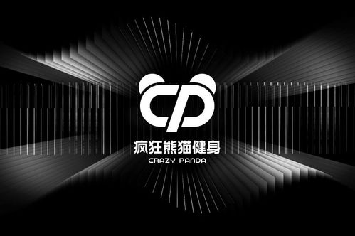 疯狂熊猫健身 高效减脂与健康健身的专业之旅